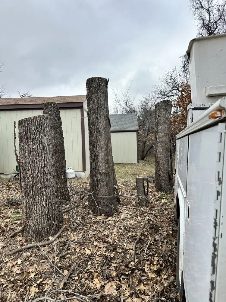 Expert yard maintenance for outdoor upgrades in Edmond, OK by Specialty Tree Service