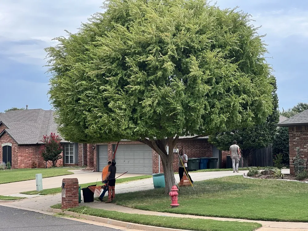 Local lawn mowing service experts serving Edmond, OK - Specialty Tree Service