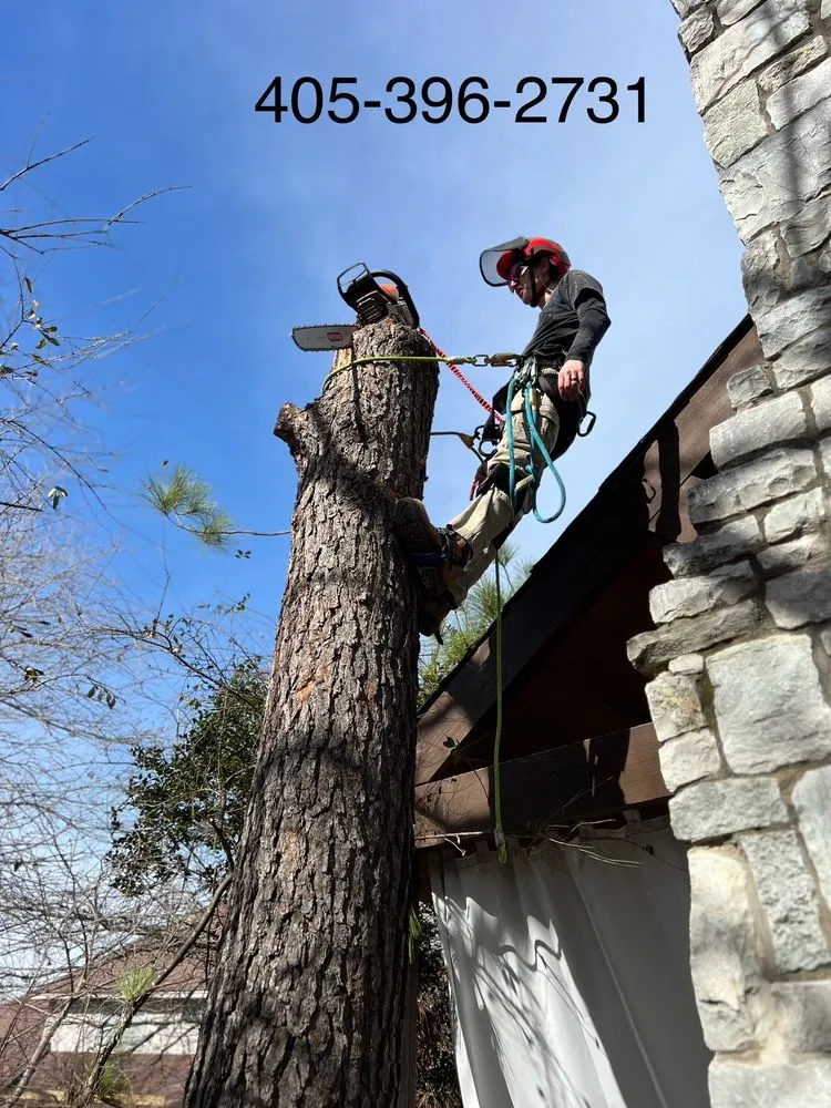Trusted landscape installation experts serving Edmond, OK - Specialty Tree Service