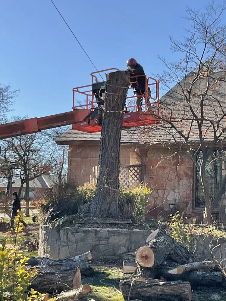 Local yard maintenance experts serving Edmond, OK - Specialty Tree Service