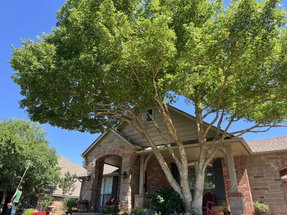 Custom residential landscaping with custom design in Edmond, OK by Specialty Tree Service