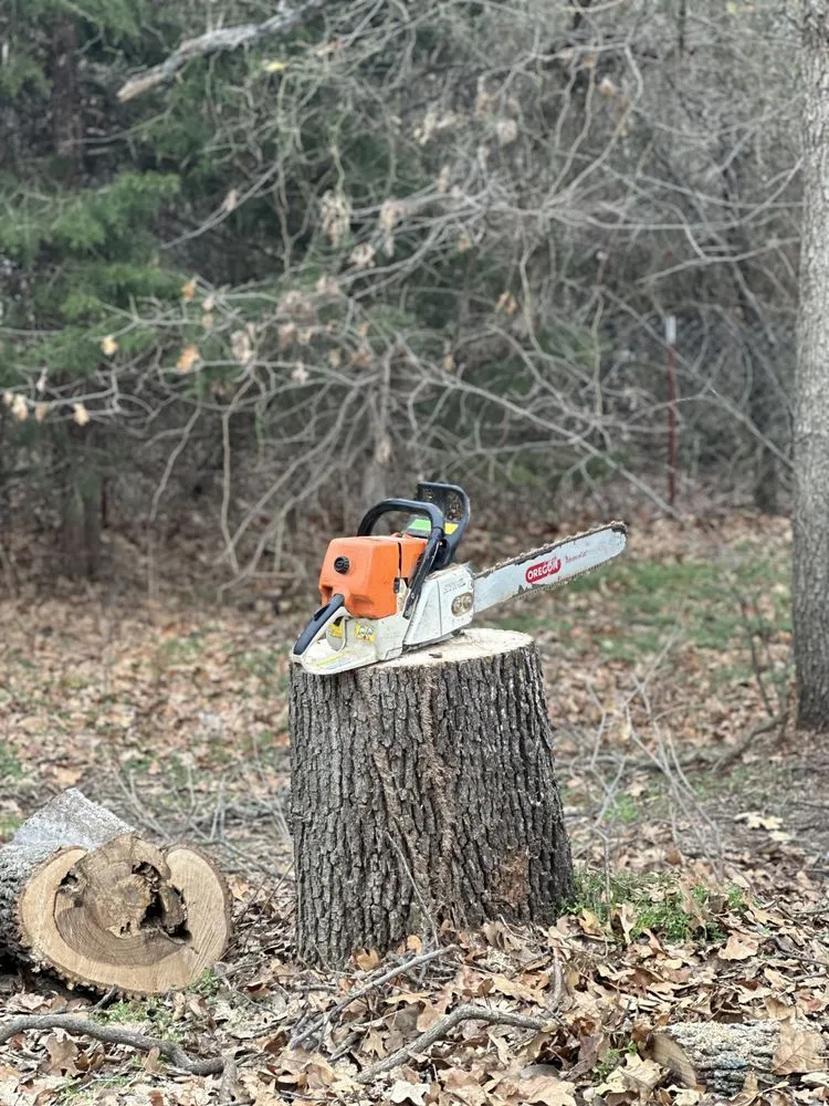 Expert lawn care service for residential properties in Edmond, OK by Specialty Tree Service