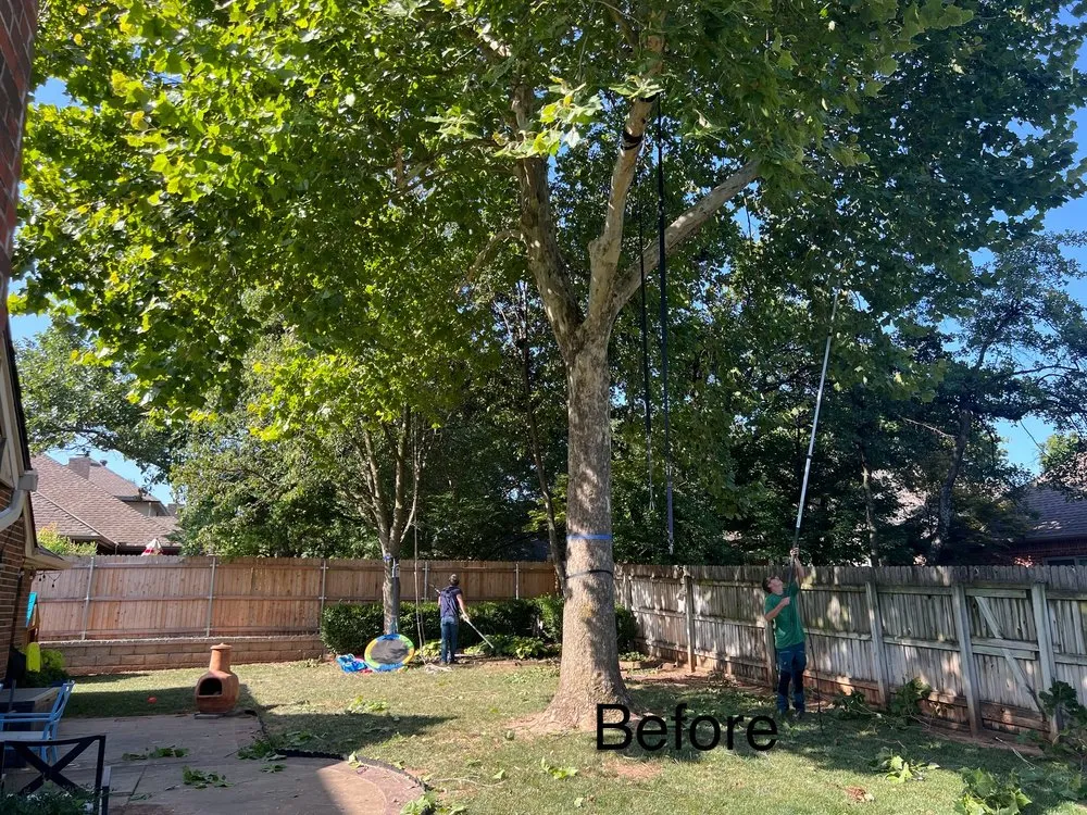 Local yard maintenance in Edmond, OK - Specialty Tree Service