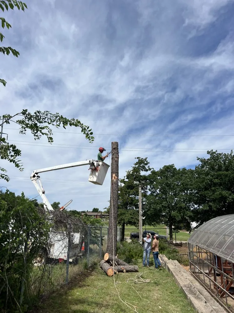 Trusted landscape design in Edmond, OK - Specialty Tree Service