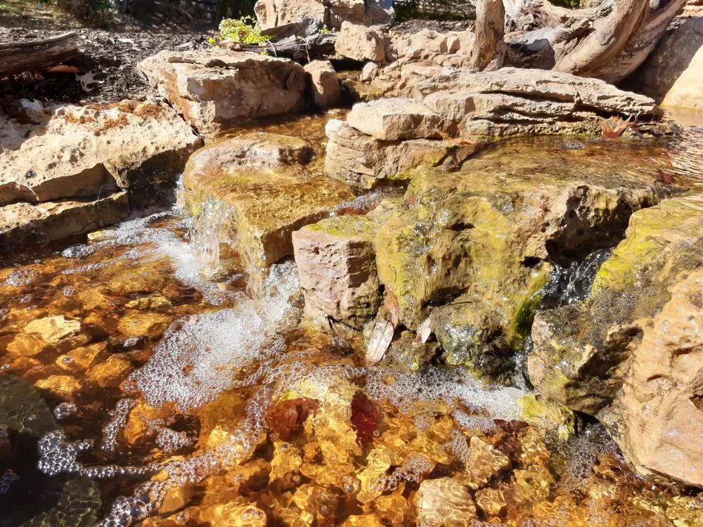 Trusted lawn care service for year-round maintenance across Columbia, MO - Specialty Water Gardens & Landscapes