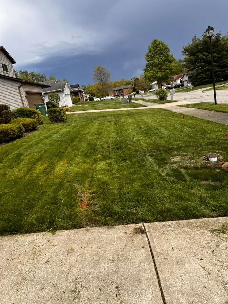 Professional residential landscaping near you across Bedford Heights, OH - Speckteck