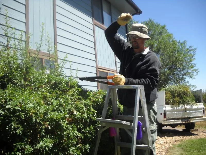 Trusted landscaping services for outdoor upgrades in Louisville, CO by Spectacular Gardens