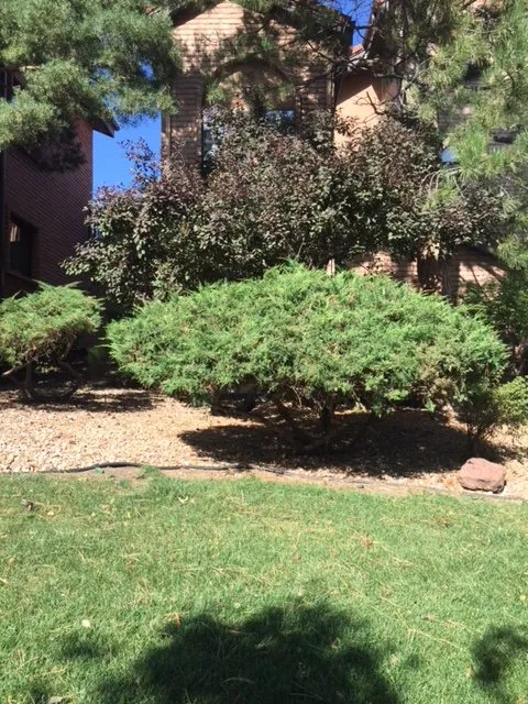 Expert residential landscaping in Louisville, CO by Spectacular Gardens