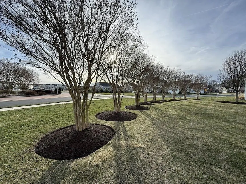 Professional yard cleanup service in Winchester, VA by Spectrum Landscape