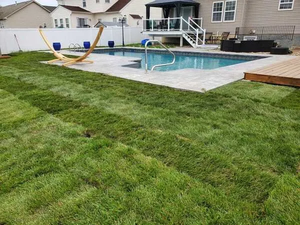 Reliable yard cleanup service near you in Winchester, VA by Spectrum Landscape