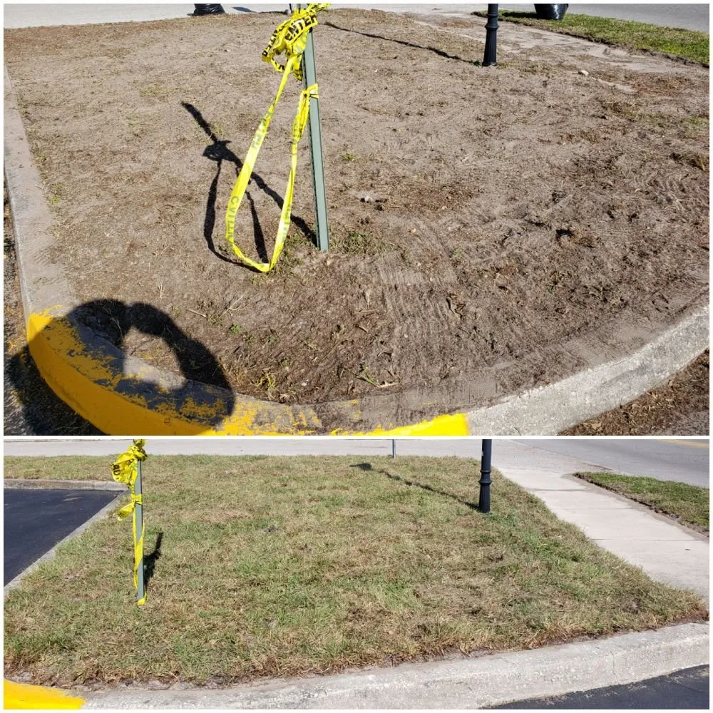 Local landscaping services in Spring Hill, FL - Spectrum Landscaping