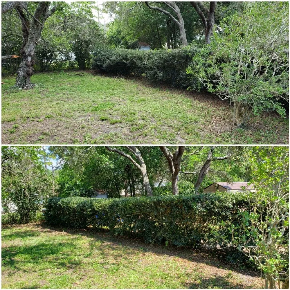 Professional landscape installation for year-round maintenance in Spring Hill, FL by Spectrum Landscaping