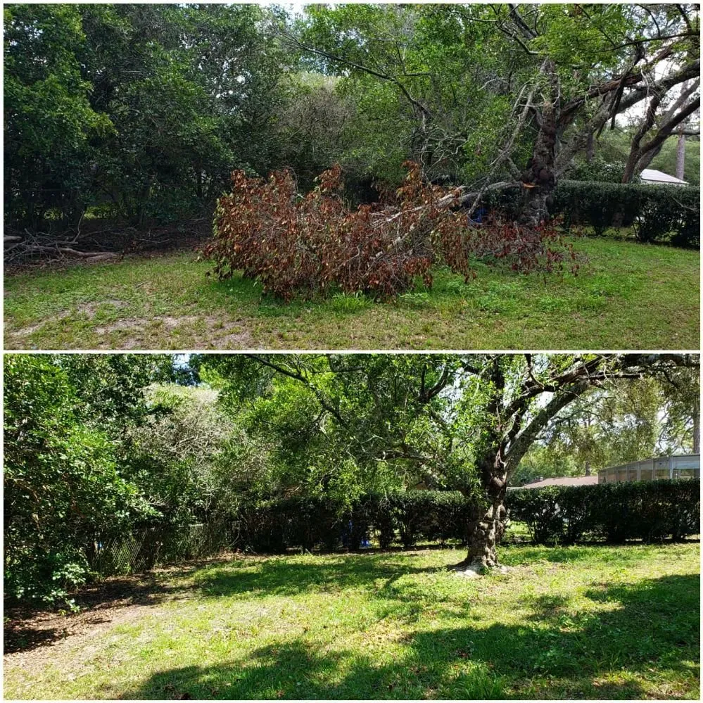 Expert landscaping services near you in Spring Hill, FL by Spectrum Landscaping