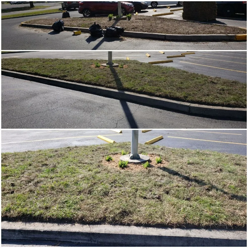 Trusted yard maintenance for year-round maintenance across Spring Hill, FL - Spectrum Landscaping