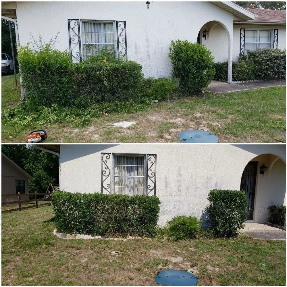 Reliable residential landscaping near you across Spring Hill, FL - Spectrum Landscaping