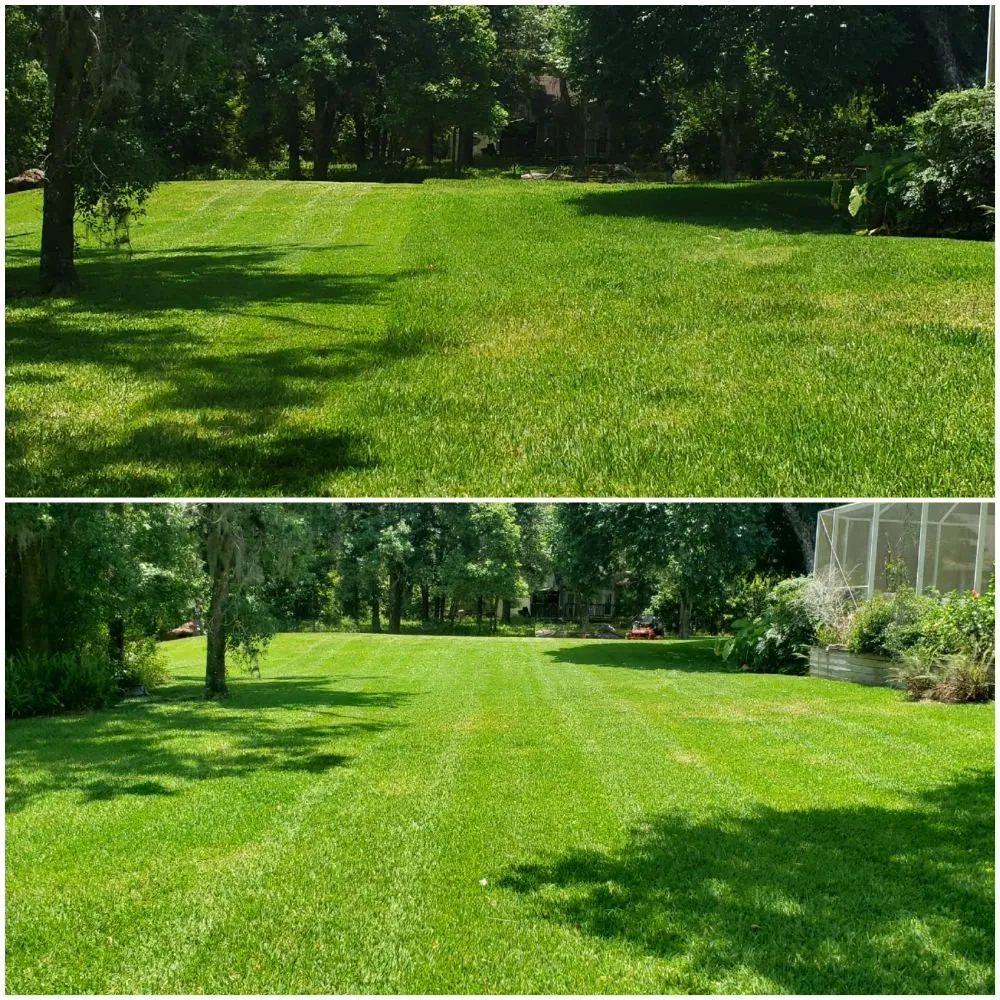 Reliable landscape installation near you across Spring Hill, FL - Spectrum Landscaping