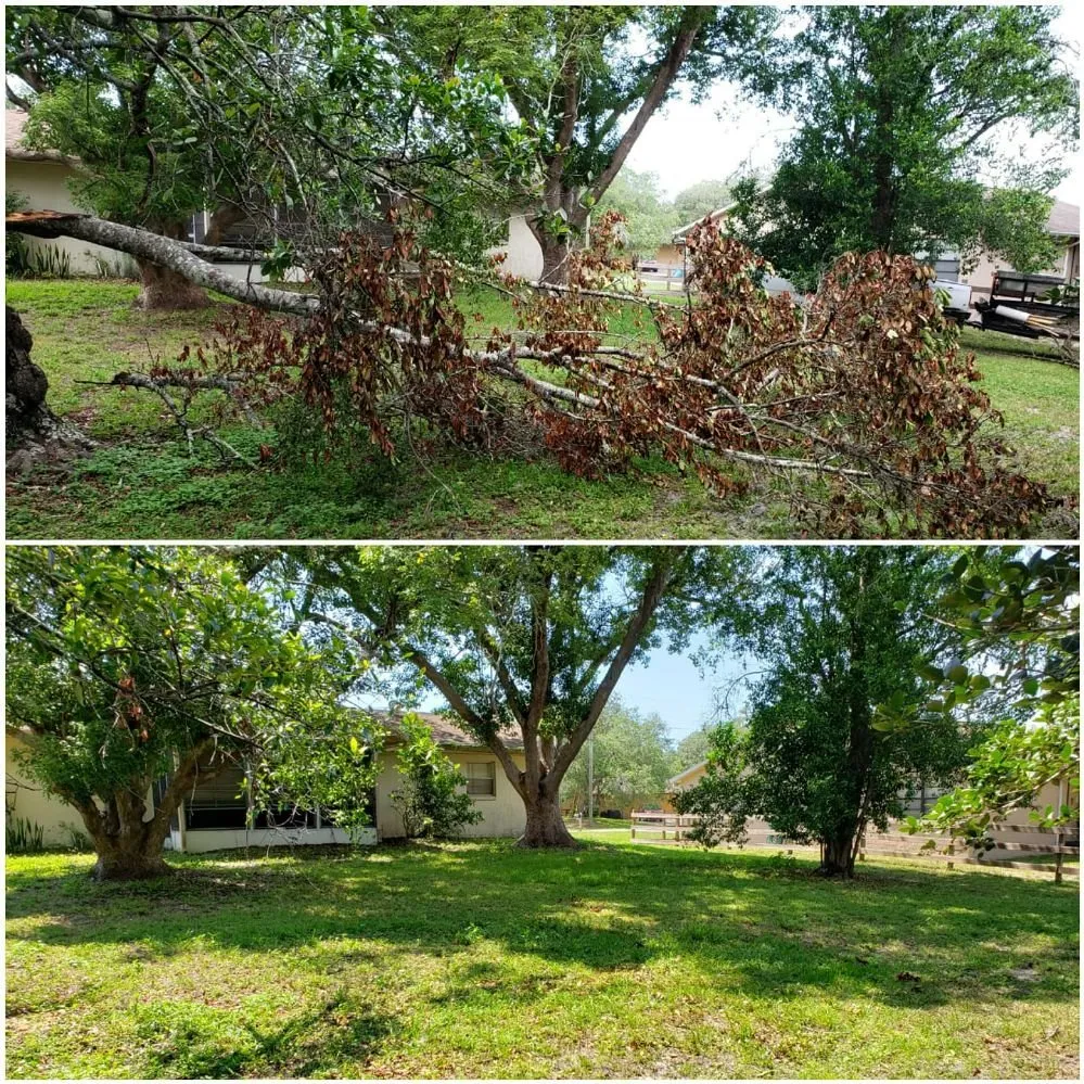 Custom yard cleanup service in Spring Hill, FL by Spectrum Landscaping