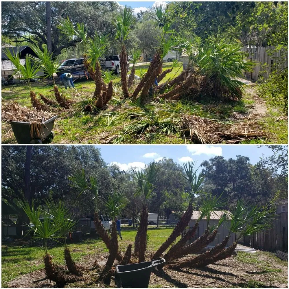 Affordable residential landscaping near you across Spring Hill, FL - Spectrum Landscaping