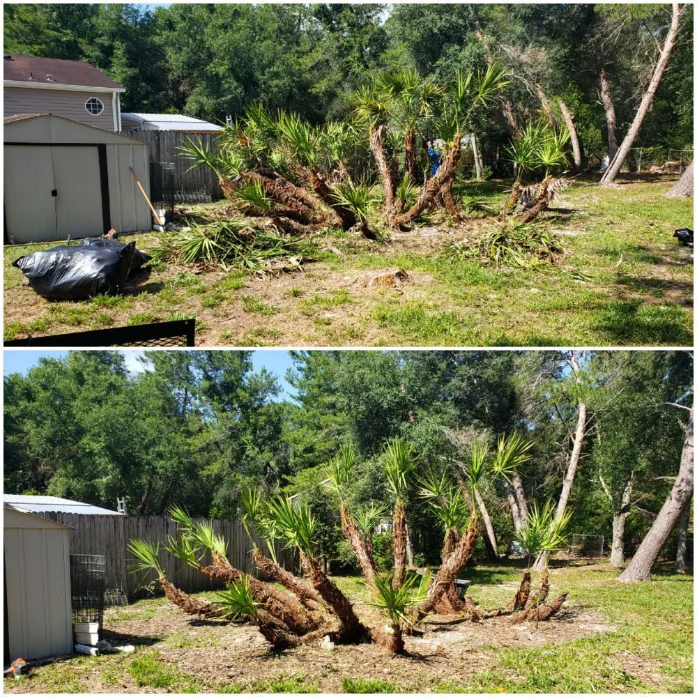 Local garden landscaping for homes in Spring Hill, FL by Spectrum Landscaping