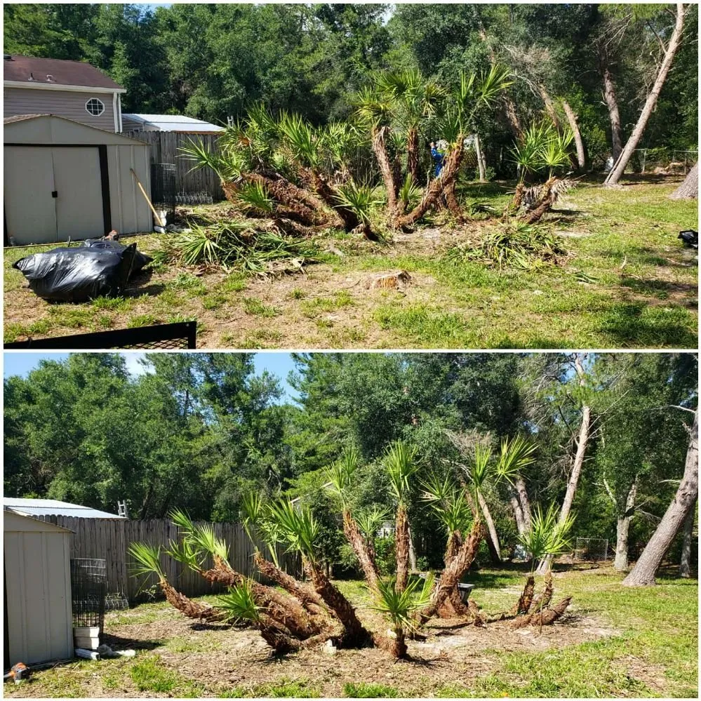 Affordable residential landscaping in Spring Hill, FL - Spectrum Landscaping