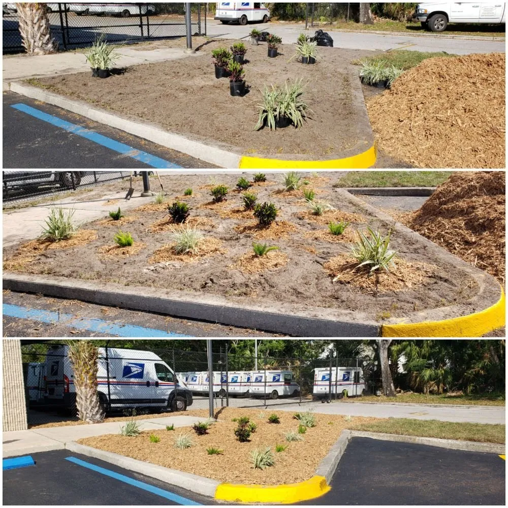 Reliable landscape design in Spring Hill, FL by Spectrum Landscaping