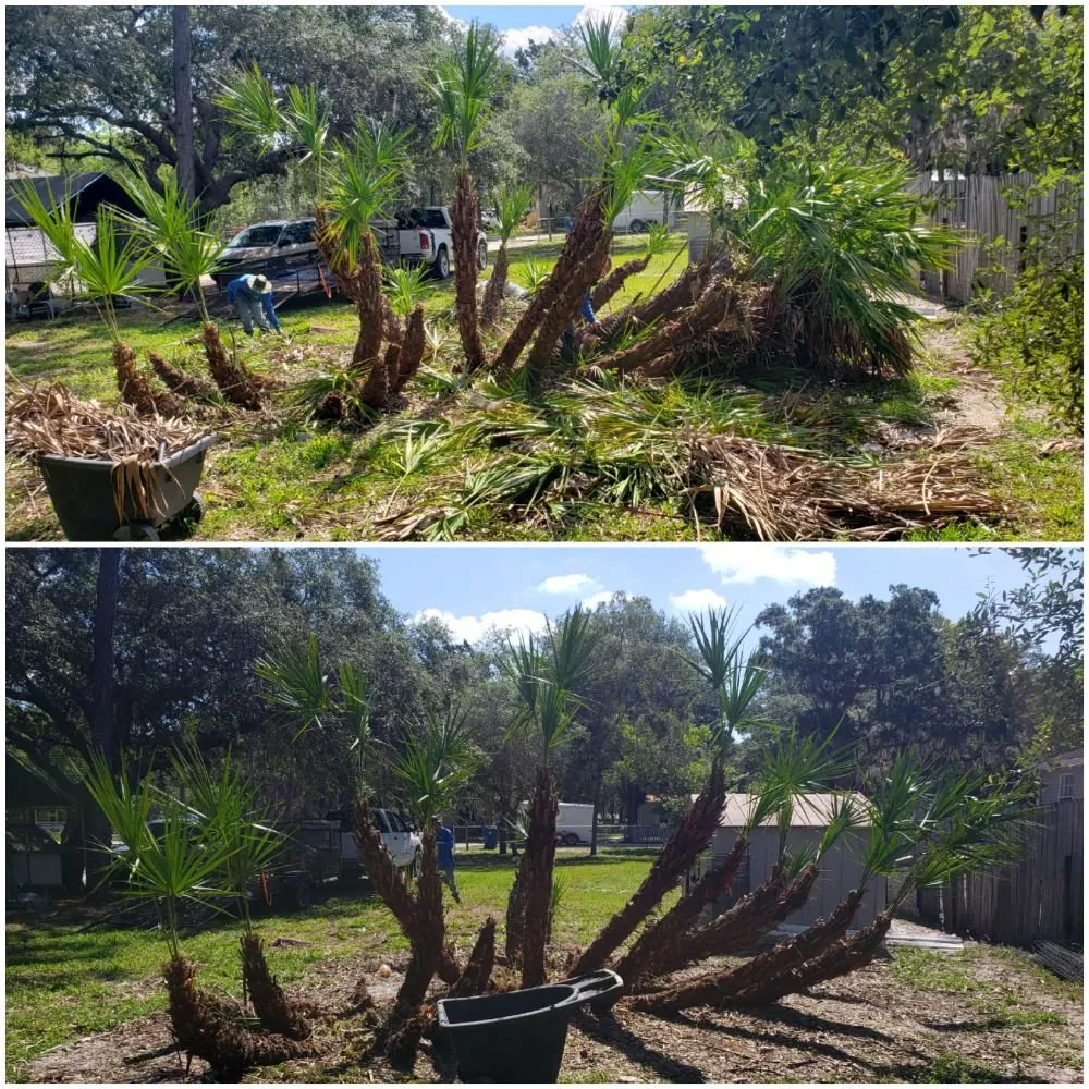 Local landscaping services for outdoor upgrades across Spring Hill, FL - Spectrum Landscaping