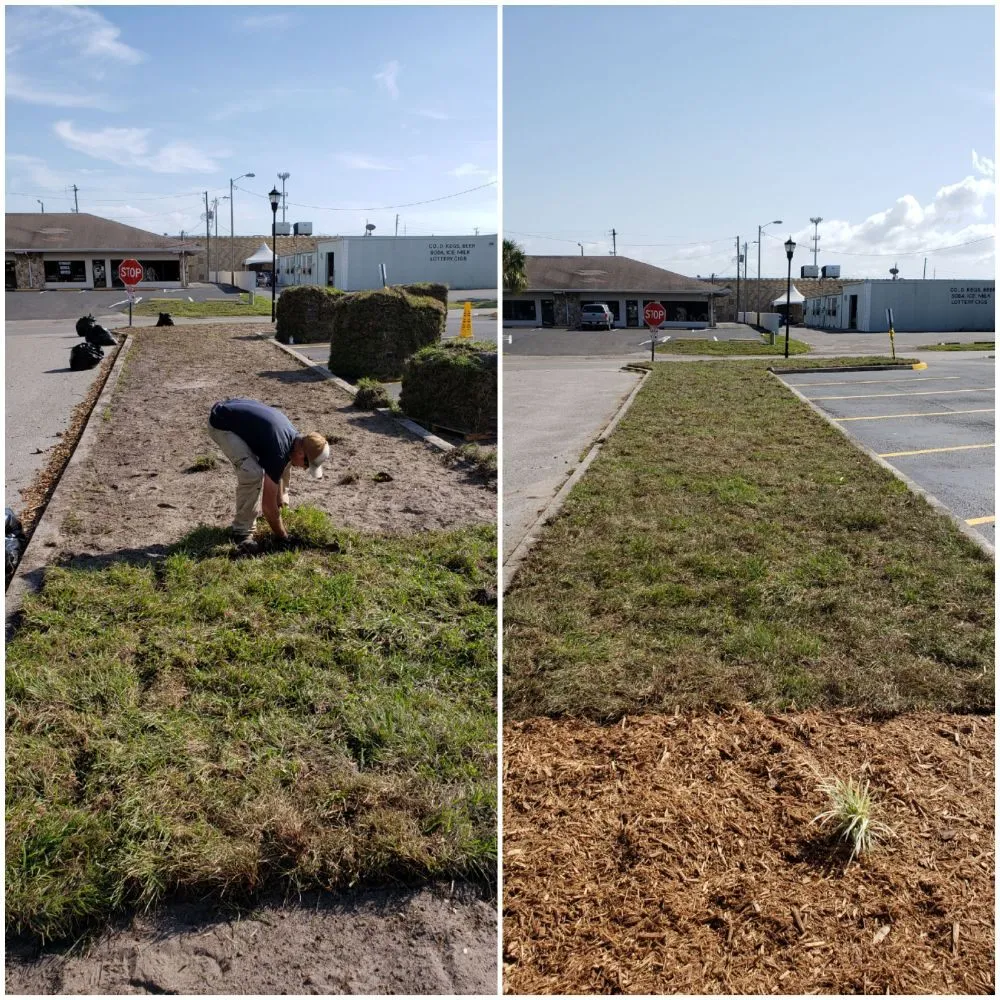 Trusted landscape installation with custom design in Spring Hill, FL by Spectrum Landscaping