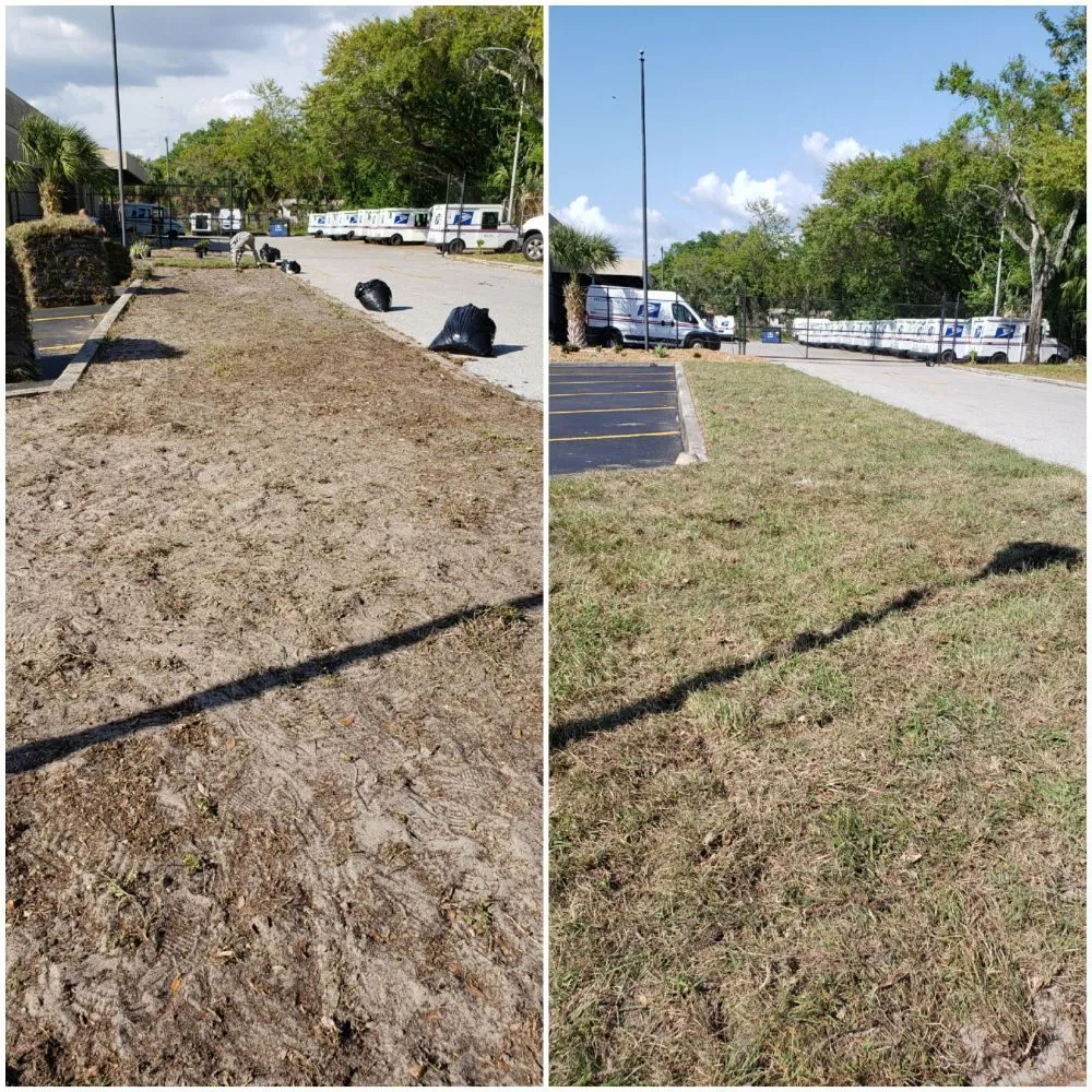 Professional landscaping services for homes across Spring Hill, FL - Spectrum Landscaping