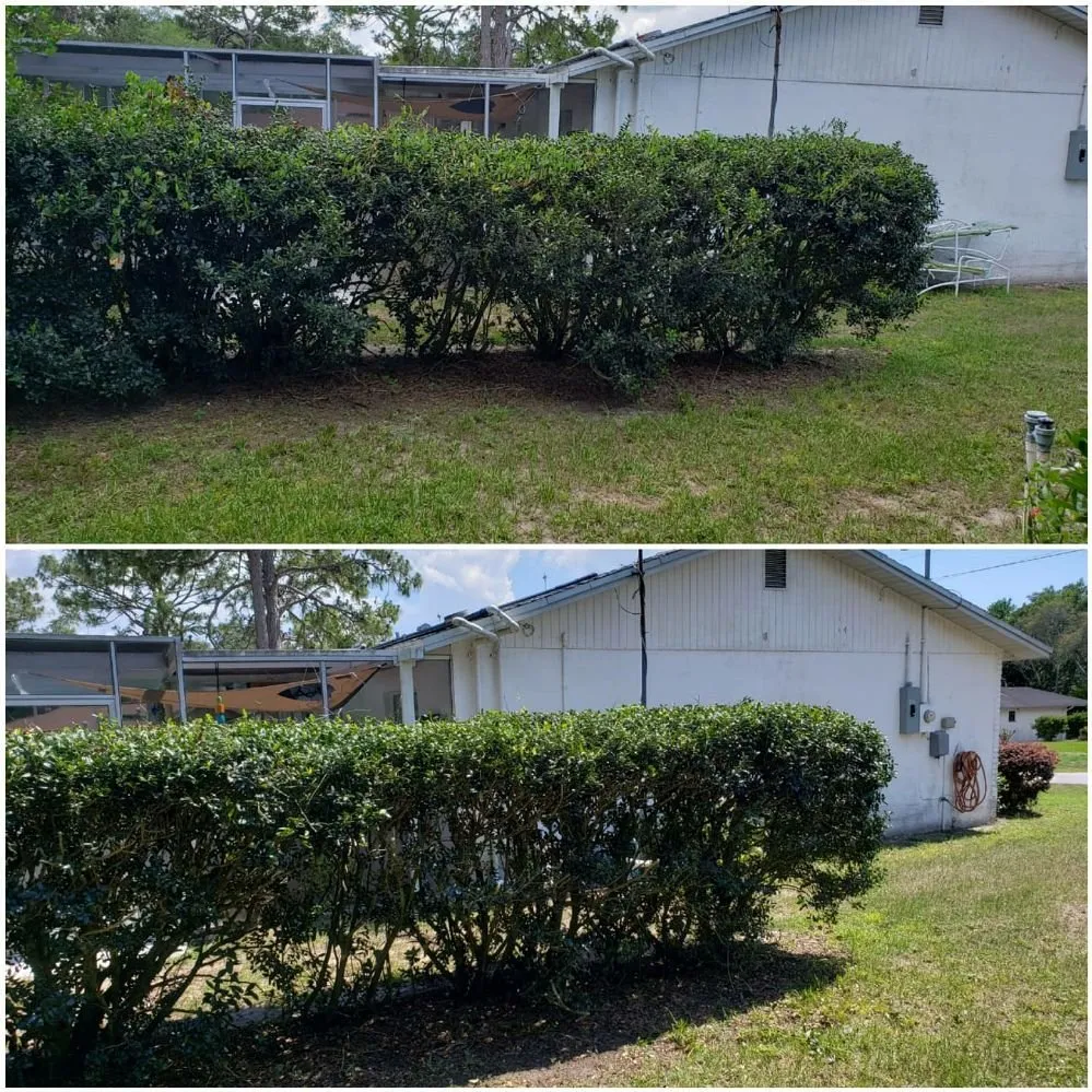 Affordable landscaping services in Spring Hill, FL - Spectrum Landscaping