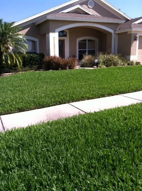 Custom garden landscaping near you across Lutz, FL - Spectrum Lawn & Landscape