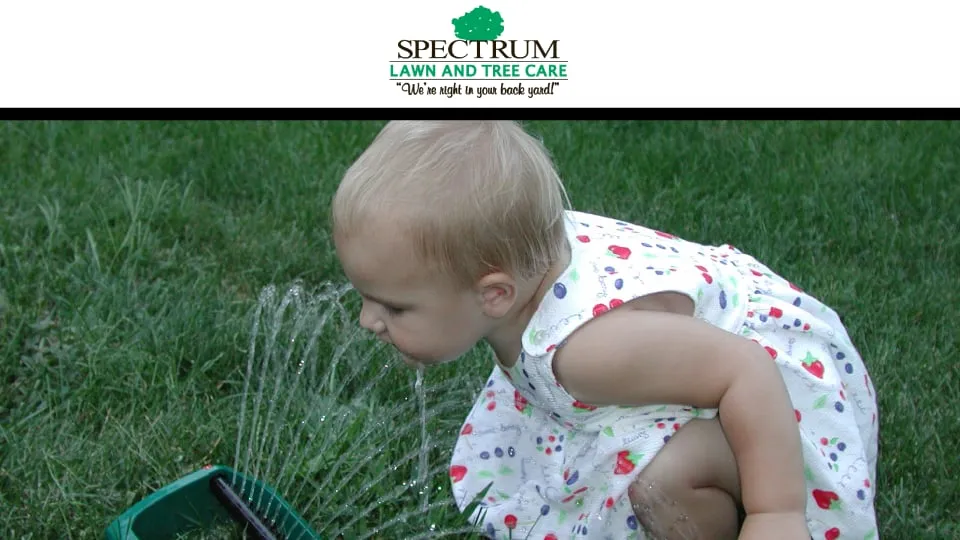 Professional residential landscaping with custom design across Saint Charles, MO - Spectrum Lawn & Tree Care