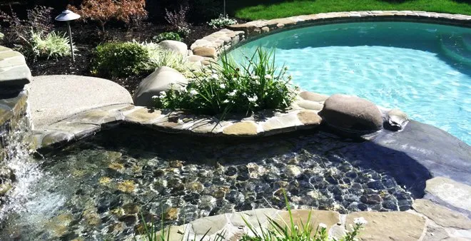 Trusted yard maintenance with custom design across Alamo, CA - Spectrum Pool & Landscape