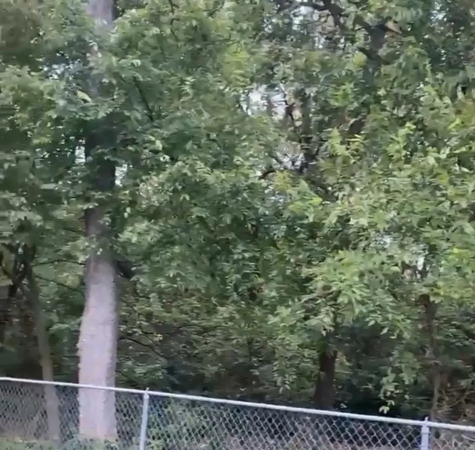 Top-rated yard maintenance in Tulsa, OK by Speed Cuts Landscaping and Services