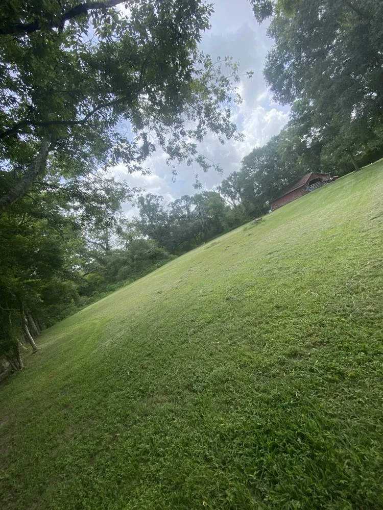 Professional lawn care service experts serving Breaux Bridge, LA - Speed Lawn Care