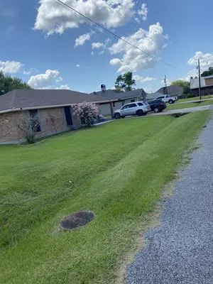 Speed Lawn Care Logo