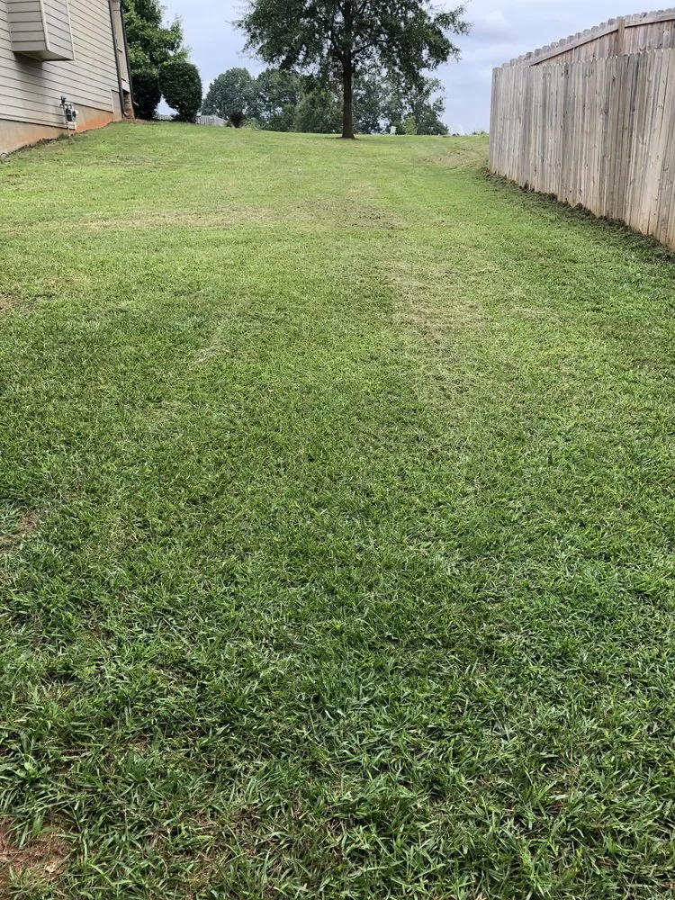 Professional landscaping services for year-round maintenance in Rockford, IL by SpeeDee Lawn Care & Snow Removal