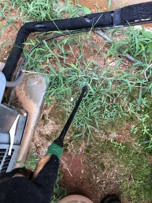 SpeeDee Lawn Care & Snow Removal Logo