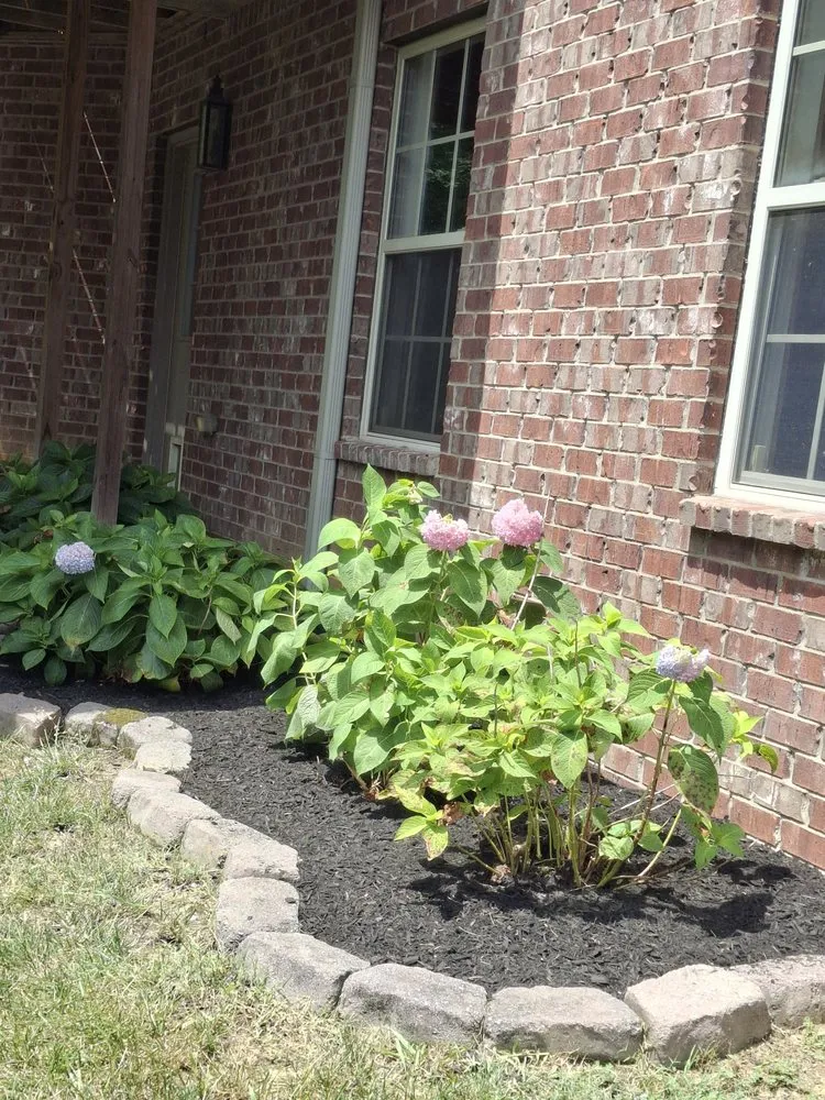 Affordable garden landscaping in Murfreesboro, TN by SpeedStinger Landscaping