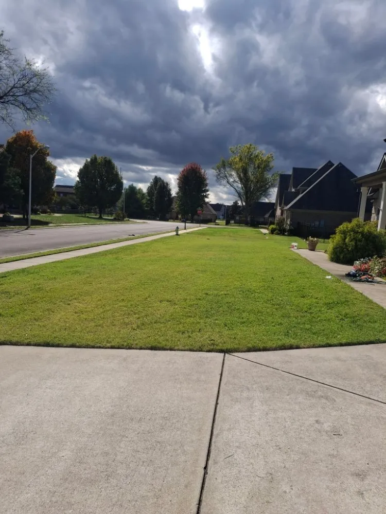 Custom yard cleanup service for beautiful yards in Murfreesboro, TN by SpeedStinger Landscaping
