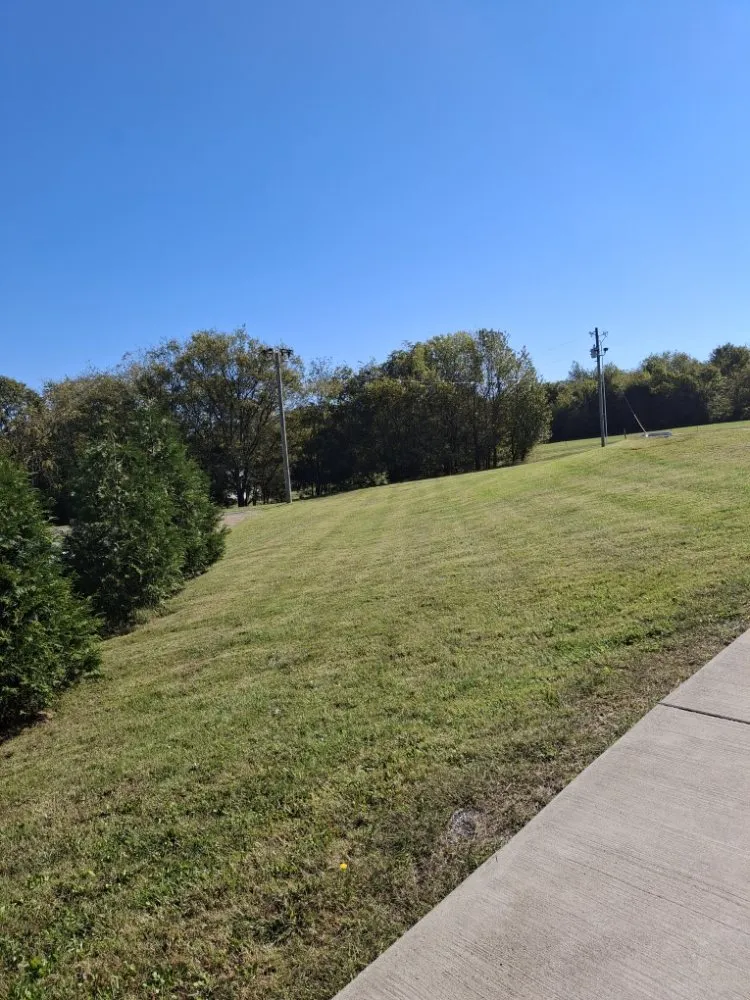 Custom residential landscaping in Murfreesboro, TN by SpeedStinger Landscaping