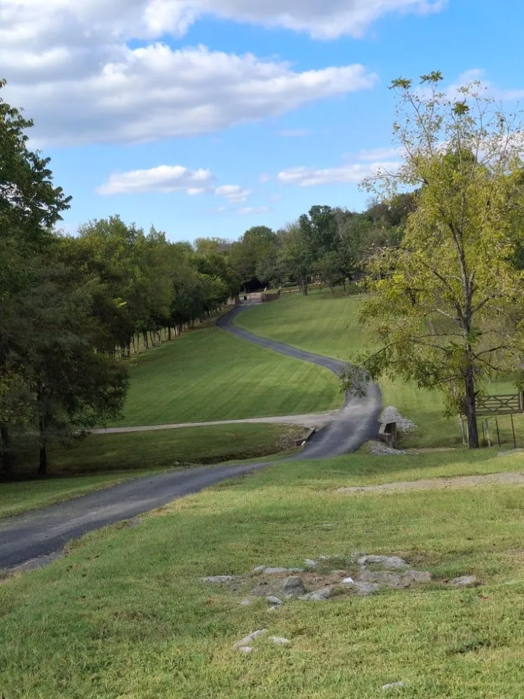 Affordable landscaping services experts serving Murfreesboro, TN - SpeedStinger Landscaping