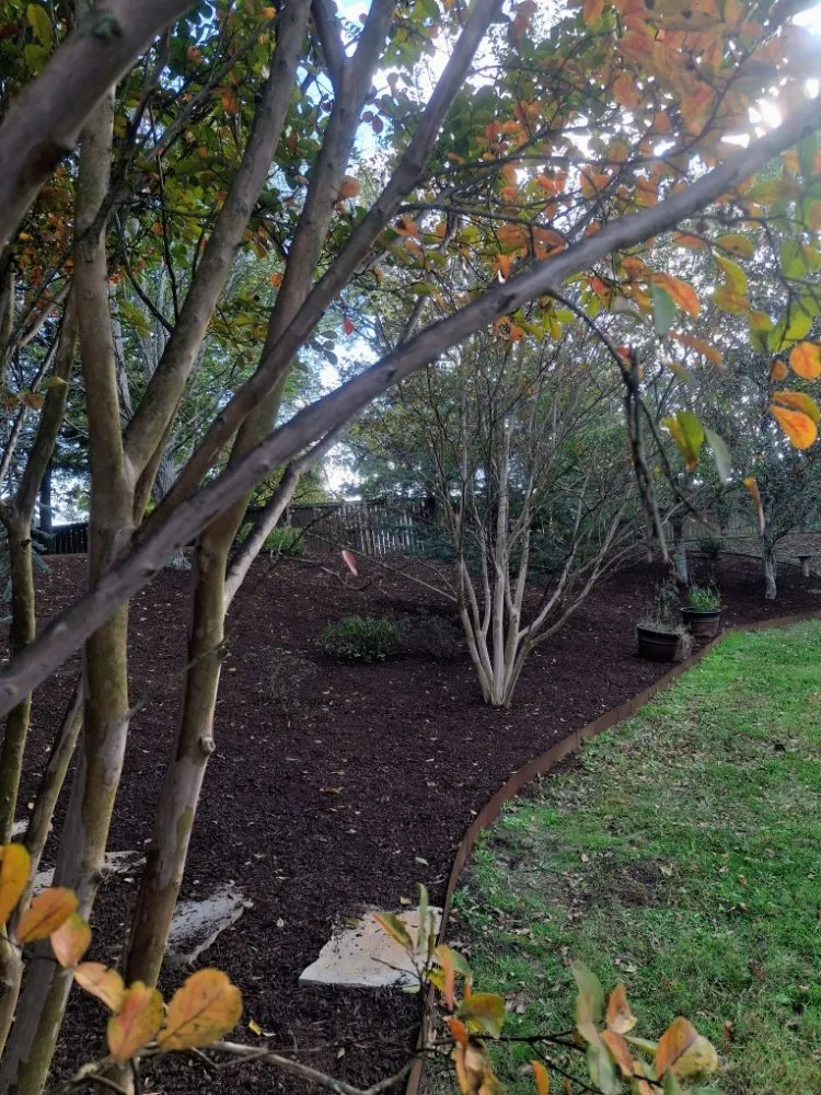 Custom outdoor landscaping with custom design in Murfreesboro, TN by SpeedStinger Landscaping