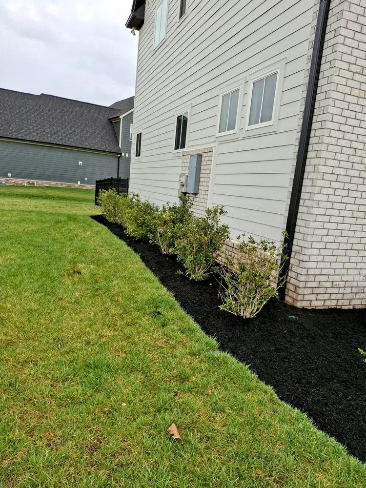 Professional landscape design in Murfreesboro, TN - SpeedStinger Landscaping