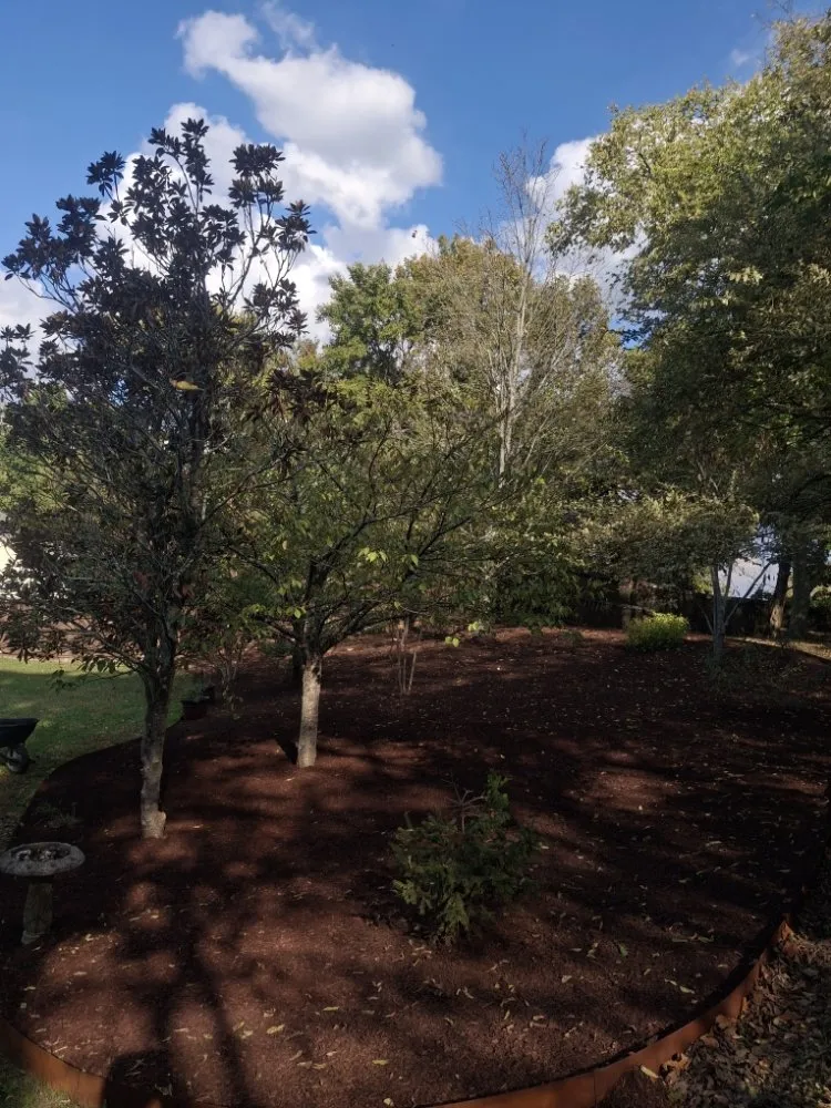 Trusted lawn care service in Murfreesboro, TN - SpeedStinger Landscaping