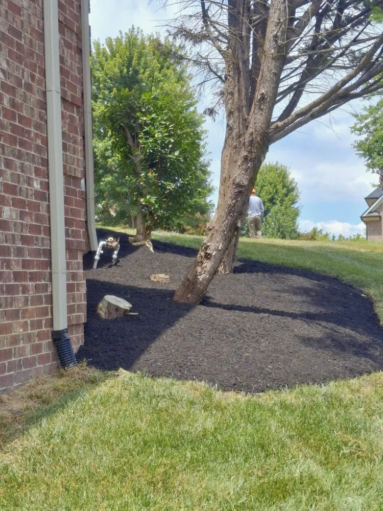 Custom lawn care service experts serving Murfreesboro, TN - SpeedStinger Landscaping