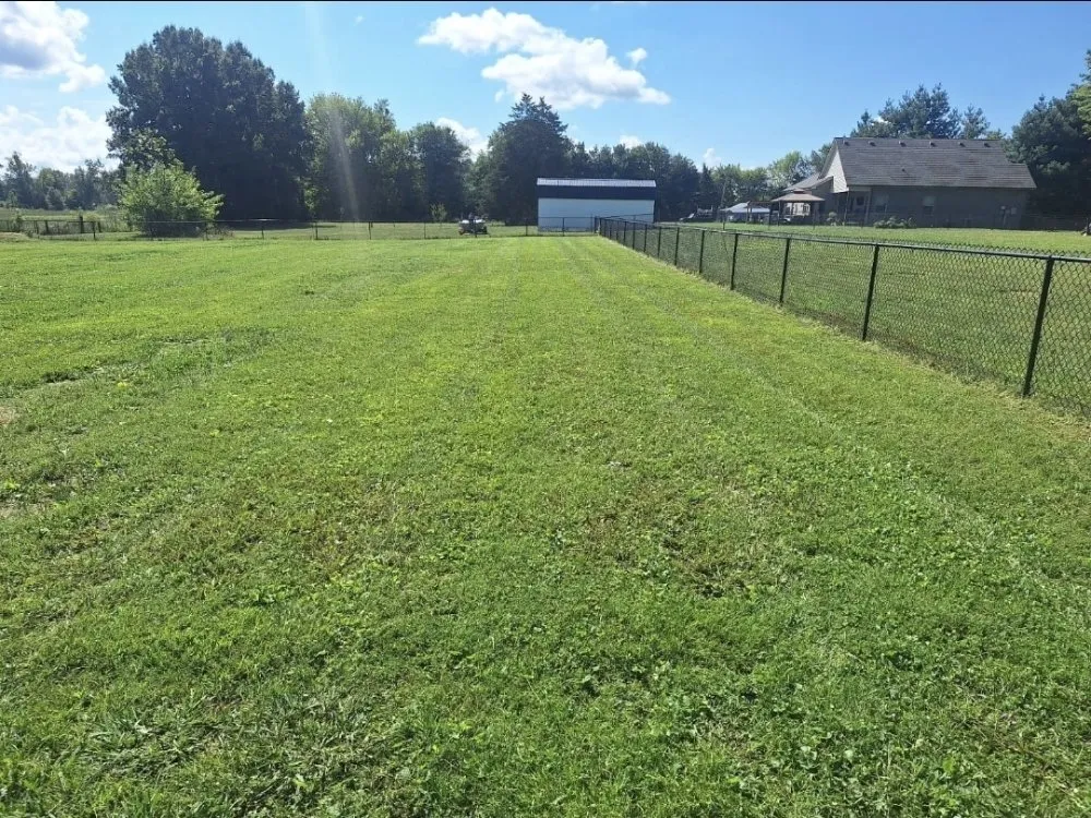 Local yard maintenance for residential properties across Murfreesboro, TN - SpeedStinger Landscaping