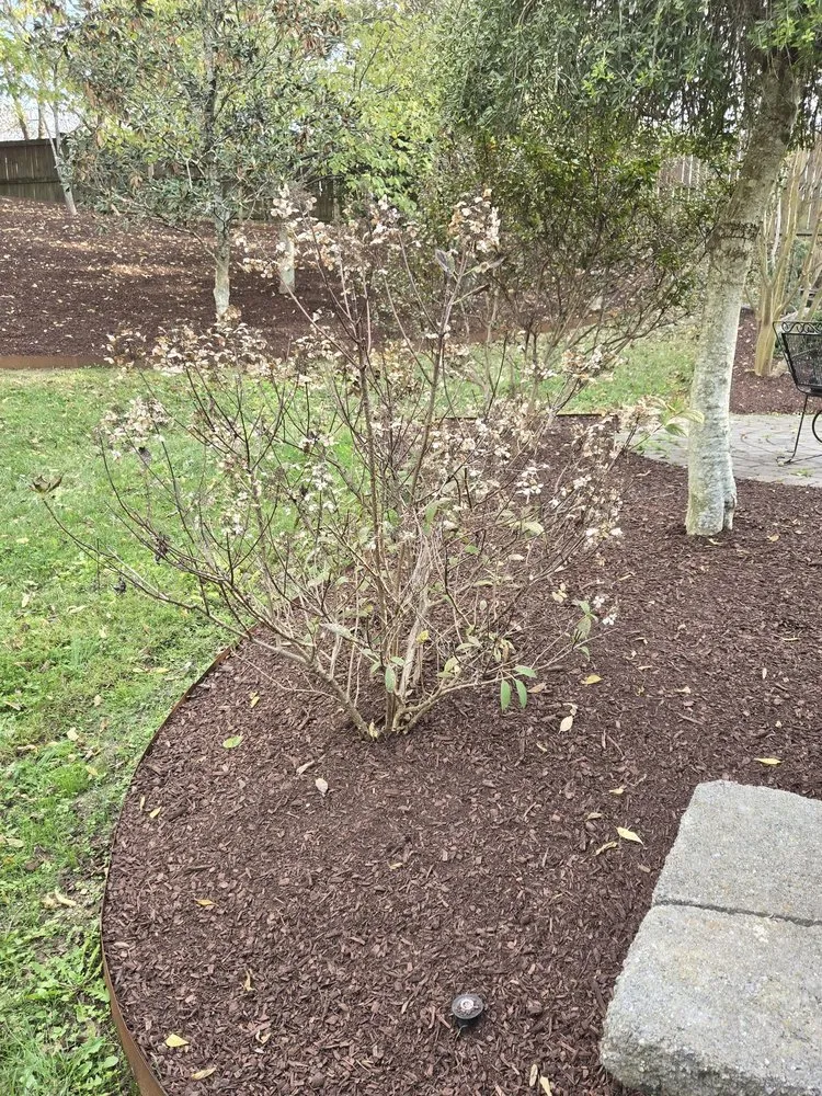 Reliable garden landscaping in Murfreesboro, TN - SpeedStinger Landscaping
