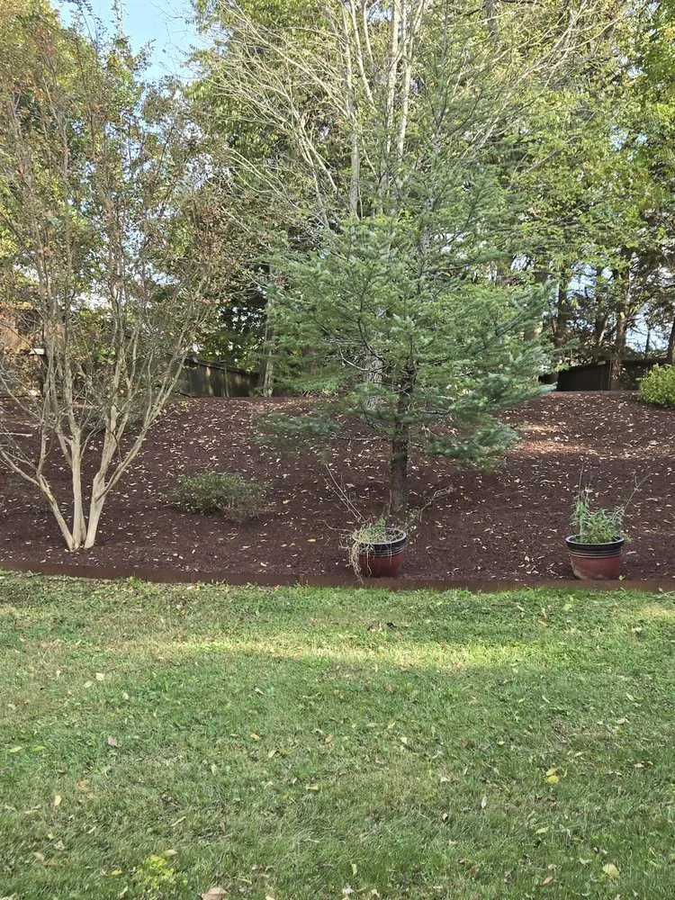 Affordable residential landscaping in Murfreesboro, TN by SpeedStinger Landscaping