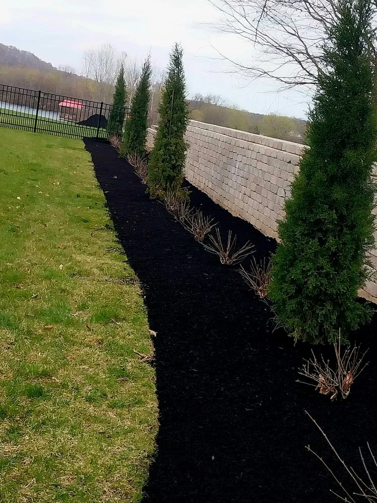 Top-rated yard cleanup service in Murfreesboro, TN by SpeedStinger Landscaping