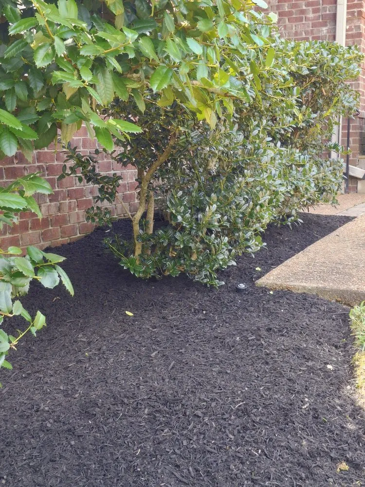 Custom lawn care service in Murfreesboro, TN by SpeedStinger Landscaping